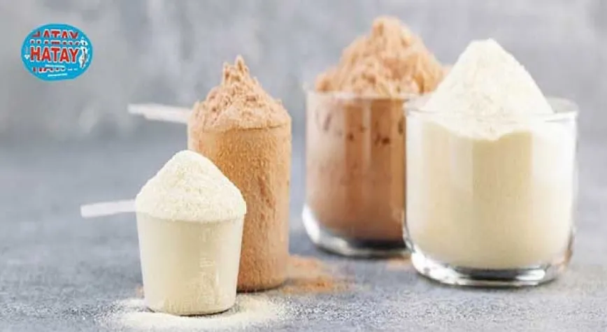 Protein Tozu Nedir ve Ne İşe Yarar?
