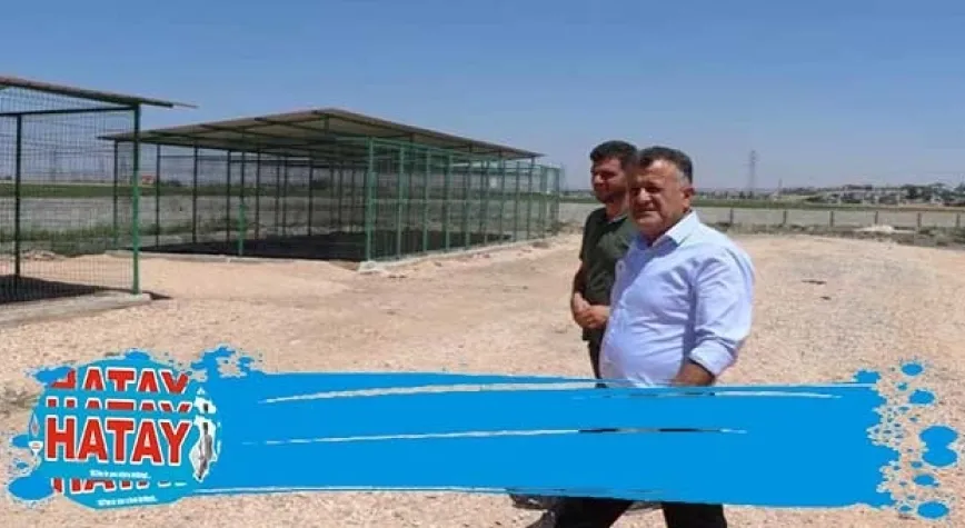 REYHANLI’DA HAYVAN DOSTU PROJE