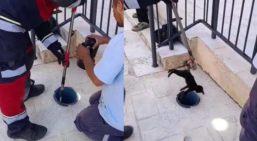 Reyhanlı’da Mahsur Kalan Yavru Kediyi Miyavlaması Kurtardı
