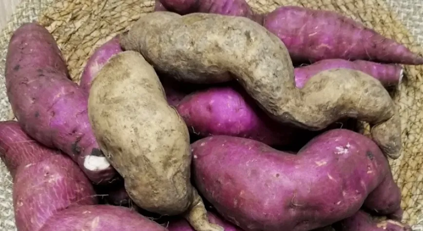 Sağlıklı Bir Sebze: Tatlı Patates