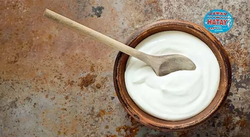 Sağlıklı ev yoğurdu tarifi için