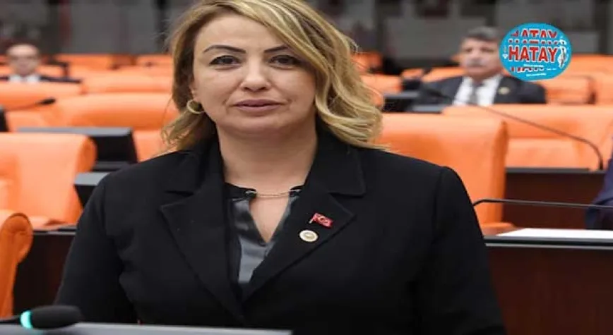 SAHİLDE SİSMİK VE JEOLOJİK İNCELEME BAŞLATILACAK MI?