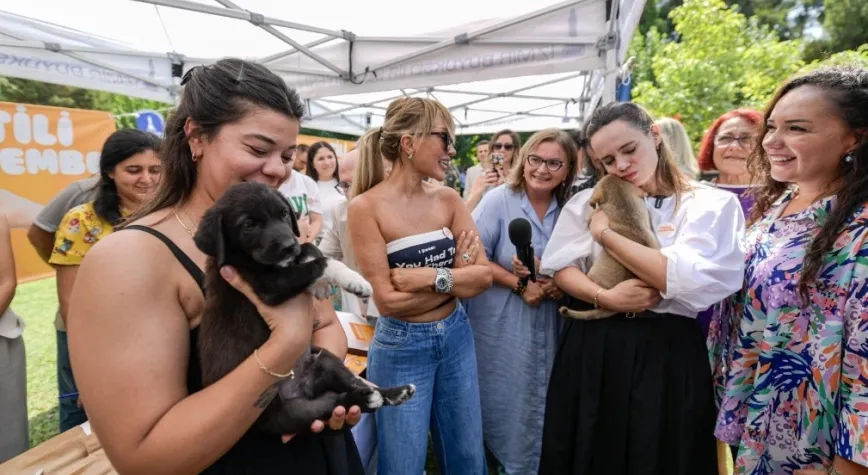 Sahipsiz Köpek Popülasyonu Yönetimi İzmir Eylem Planı hazırlandı