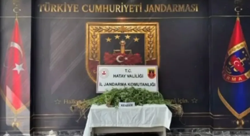 Haber Resmi
