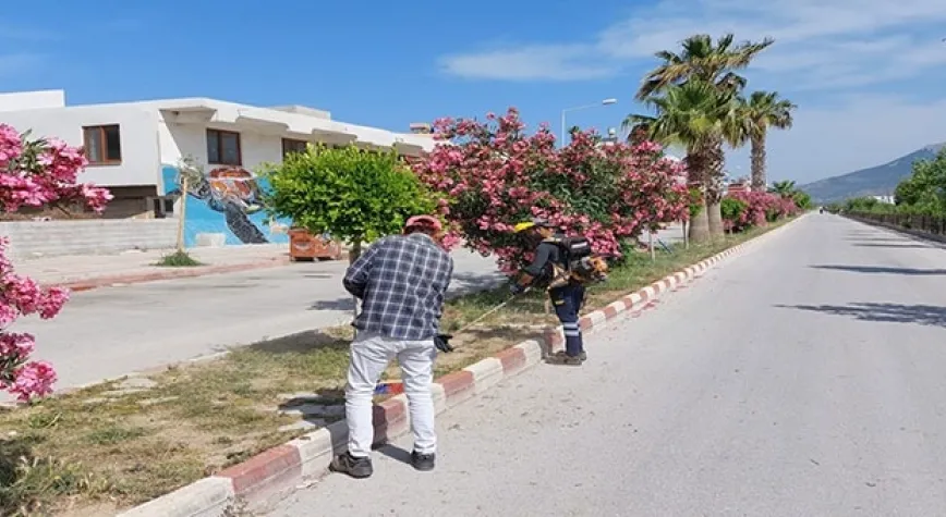 SAMANDAĞ GÜZELLEŞİYOR