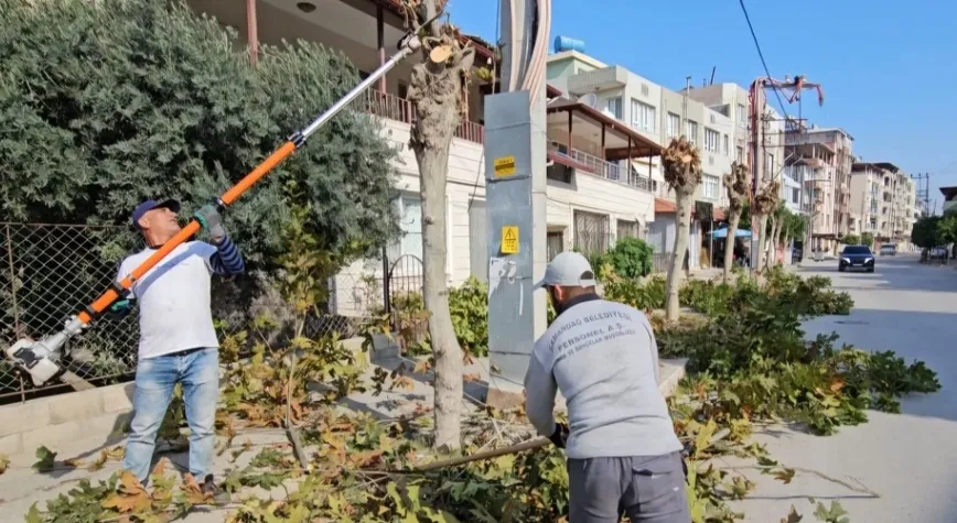 SAMANDAĞ GÜZELLEŞİYOR