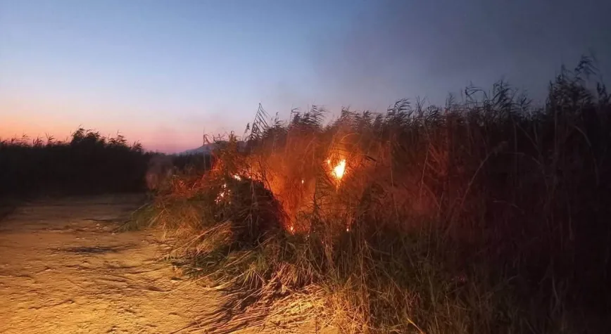Samandağ’da kamışlık alanda yangın çıktı