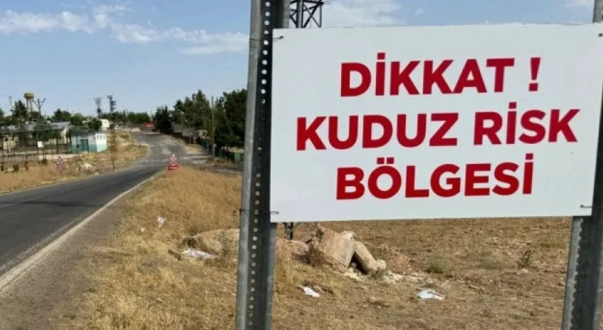 Samandağ’da Kuduz Alarmı