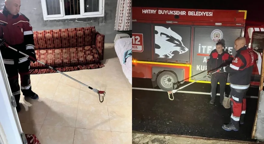 Samandağ’da Yerleşim Yerinde Görülen Yılan Yakalandı