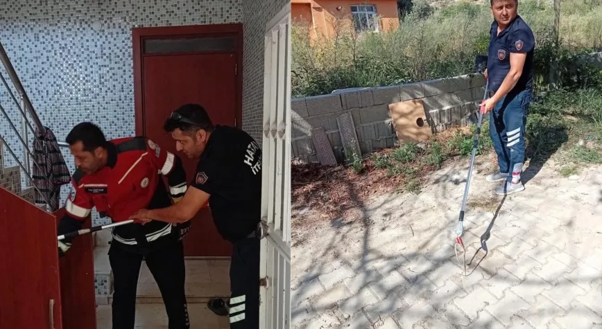 Samandağ’da Yerleşim Yerine Giren Yılan Doğaya Bırakıldı