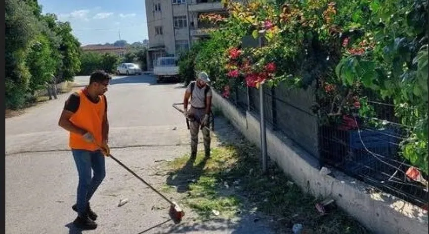 SAMANDAĞ’IN HER KÖŞESİ YEŞİLLENECEK