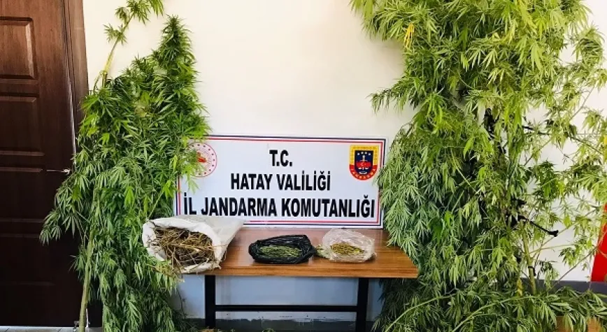 Samankaya’da esrar operasyonu