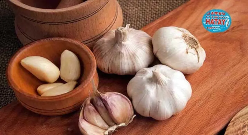 Sarımsağın tansiyonu düşürme etkisi
