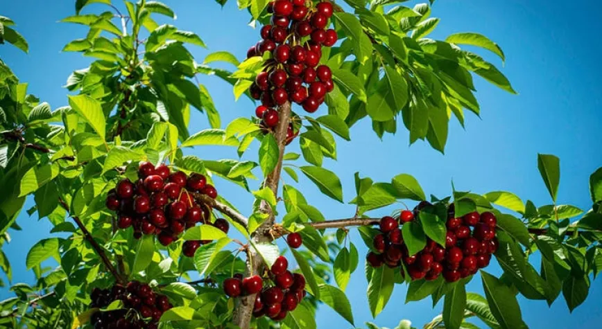 SATIŞLARI DURDURDULAR