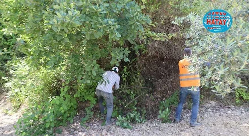 SEFERLİ’YE MESİRE ALANI KAZANDIRILACAK
