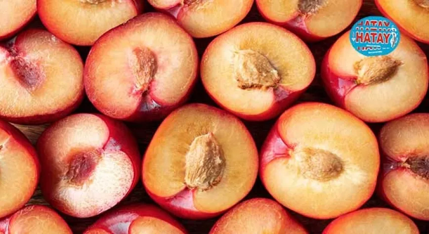 Şeftali Çekirdeği Hangi Hastalıklara İyi Gelir?