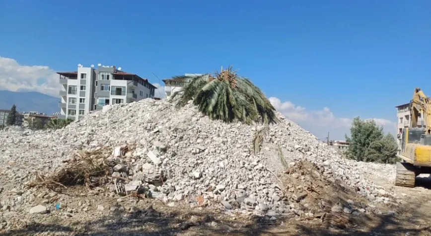 ŞEHİRDE AĞAÇ KALMAYACAK!