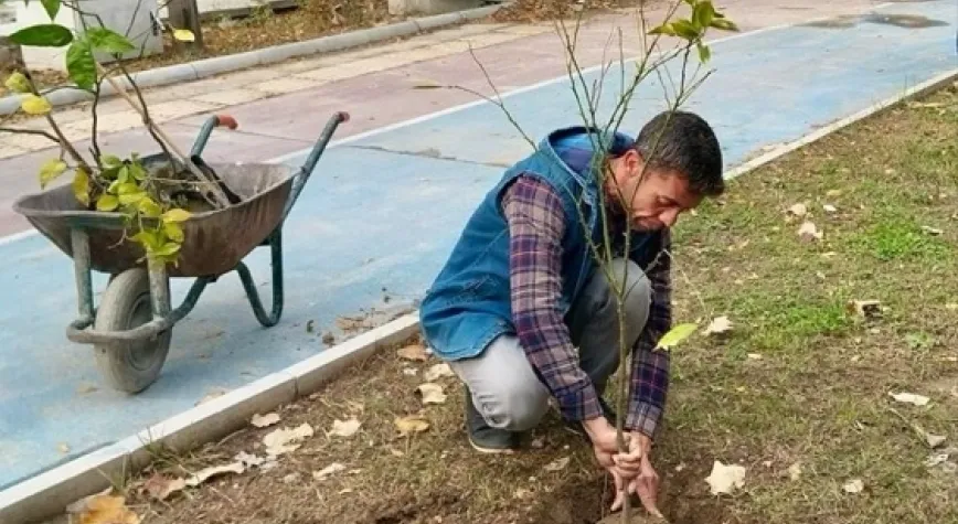 ŞEHRİN FARKLI NOKTALARINA YENİ FİDANLAR DİKİLDİ
