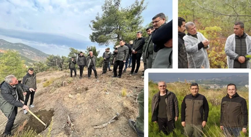 SİLVİKÜLTÜR DAİRE BAŞKANLIĞI HATAY ORMAN BÖLGE MÜDÜRLÜĞÜ ÇALIŞMALARINI DENETLEDİ