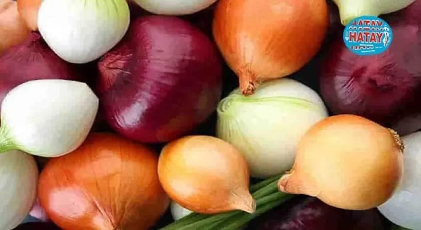 Soğanı yağda kavurmak zararlı mı?