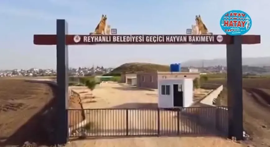 SOKAK HAYVANLARI KORUMA ALTINDA
