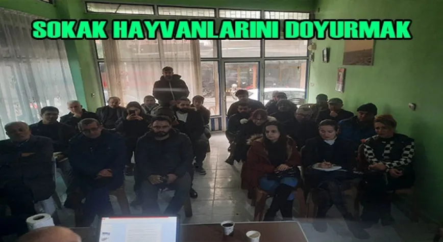 SOKAK HAYVANLARINI DOYURMAK