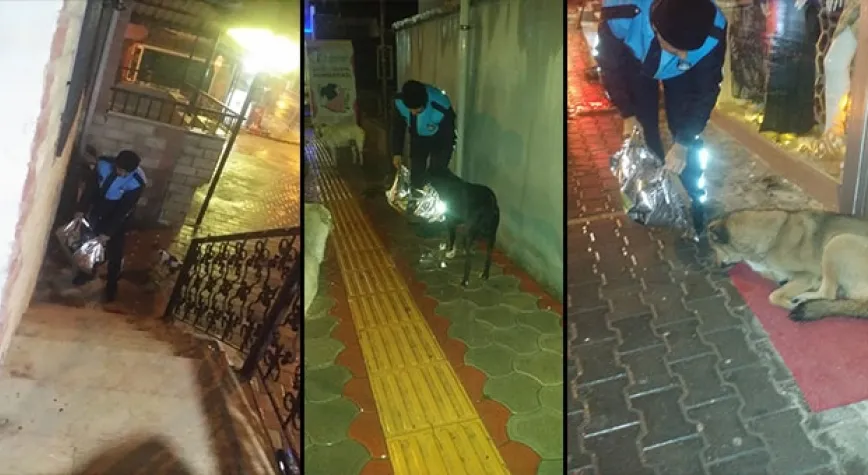 SOKAK HAYVANLARINI UNUTMADILAR