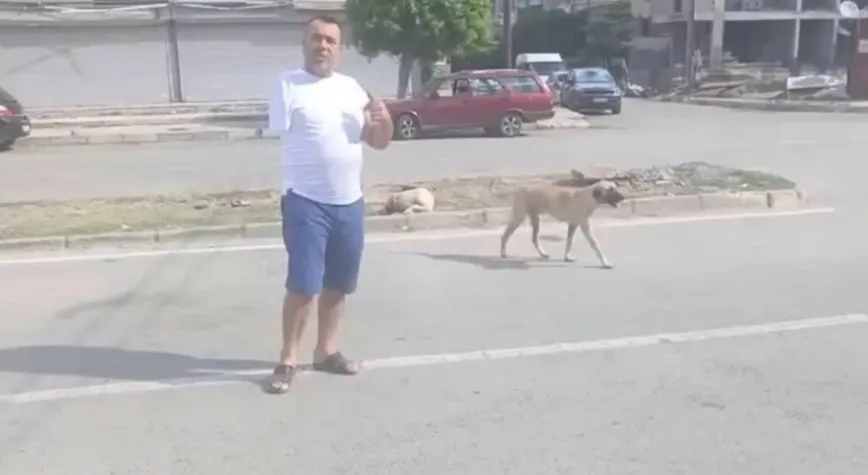 SOKAK KÖPEKLERİNİ BIRAKILANLARI ARIYORLAR