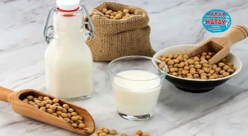 Soya Sütü Faydaları Nelerdir?