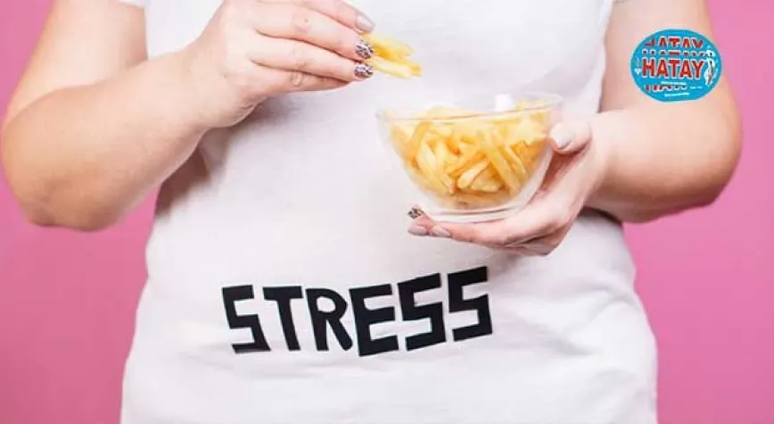 STRESİN AÇLIK ÜZERİNDEKİ ETKİSİ