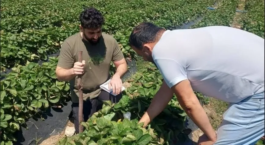 Su Tasarrufu Ve Verimlilik Artıyor