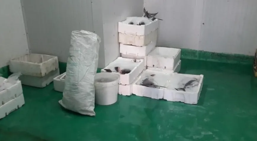 SU ÜRÜNLERİ İŞLETMELERİ ZİYARET EDİLDİ