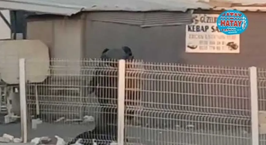 ŞÜPHELİ ÇANTA ALARMI