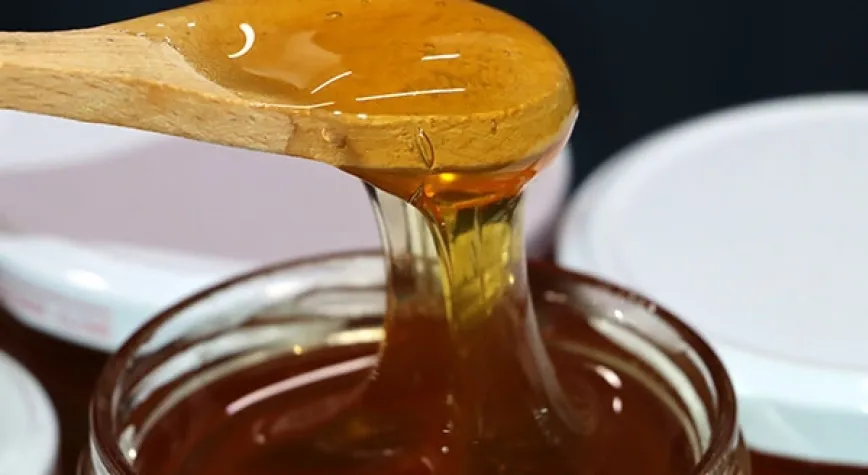 Tam Bir Enerji Deposu  ÇAKŞIR BALI