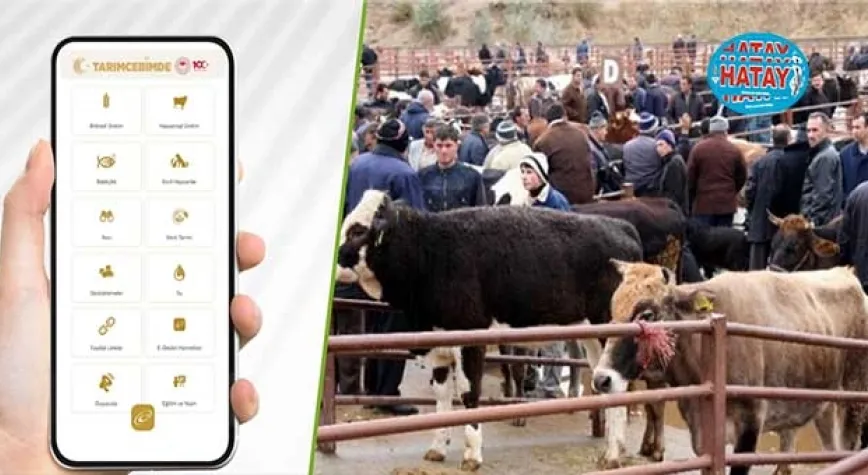 TARIM CEBİMDE İLE 3 ADIMDA KURBANLIK SORGULAMA