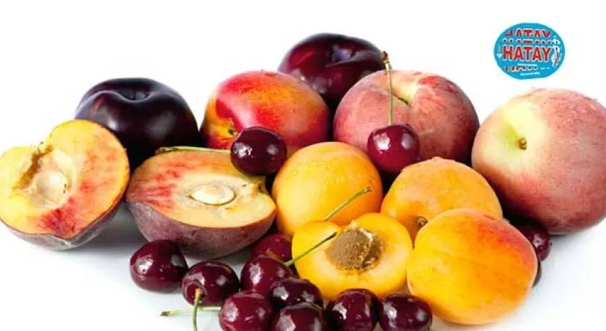 Tarım üretici enflasyonu Ağustosta yüzde 76,35 oldu