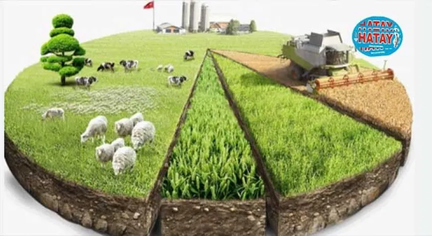  Tarımsal girdi fiyat endeksi eylülde arttı