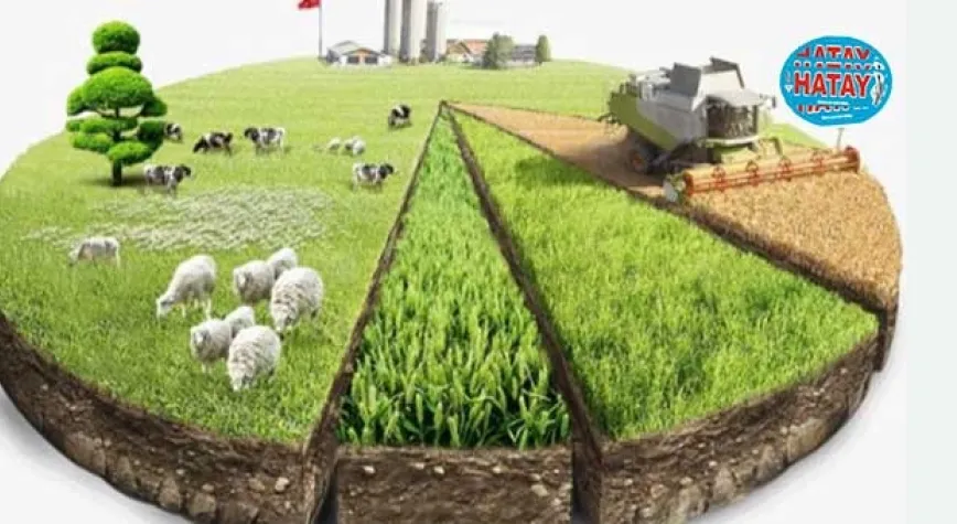 Tarımsal girdi fiyat endeksi kasımda arttı