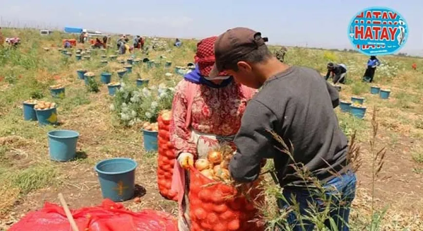 TARIMSAL ÜRETİM ZAFİYETE UĞRAMADI!