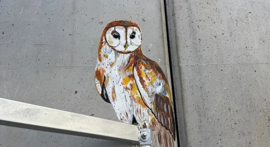TAYVAN KÜLTÜR MERKEZİ'NDE  EKOLOJİK DOĞA, HAYVAN, SANAT  SERGİSİ