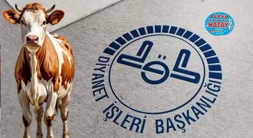 TDV’nin Vekaletle Kurban Kesim Bedeli  açıklandı