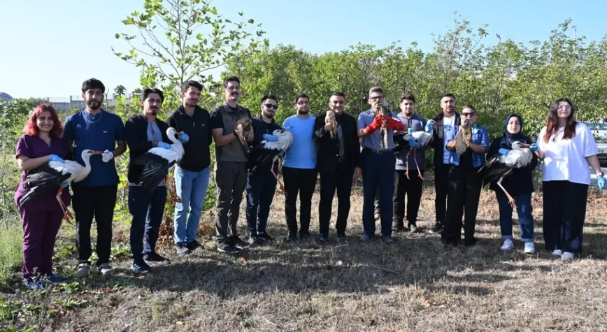 Tedavileri Tamamlanan Leylek, Şahin ve Peçeli Baykuşlar Doğaya Salındı