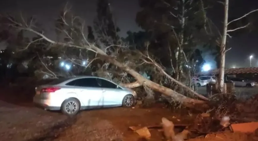 Tekneler alabora oldu, ağaçlar devrildi