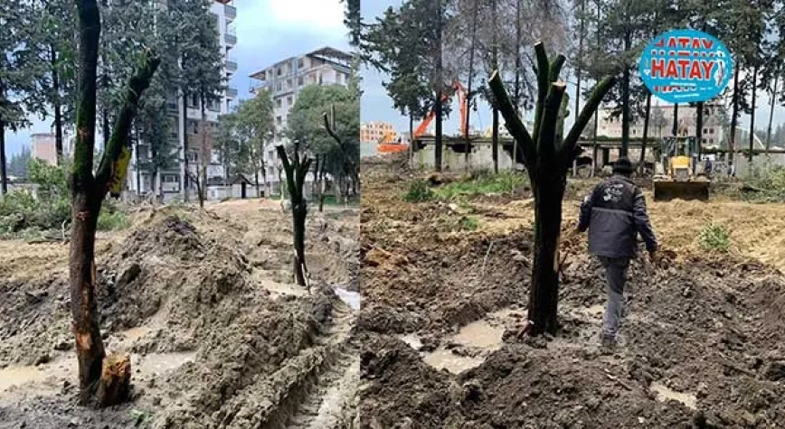 TEPKİLER ARTINCA AĞAÇLAR DİKİLDİ