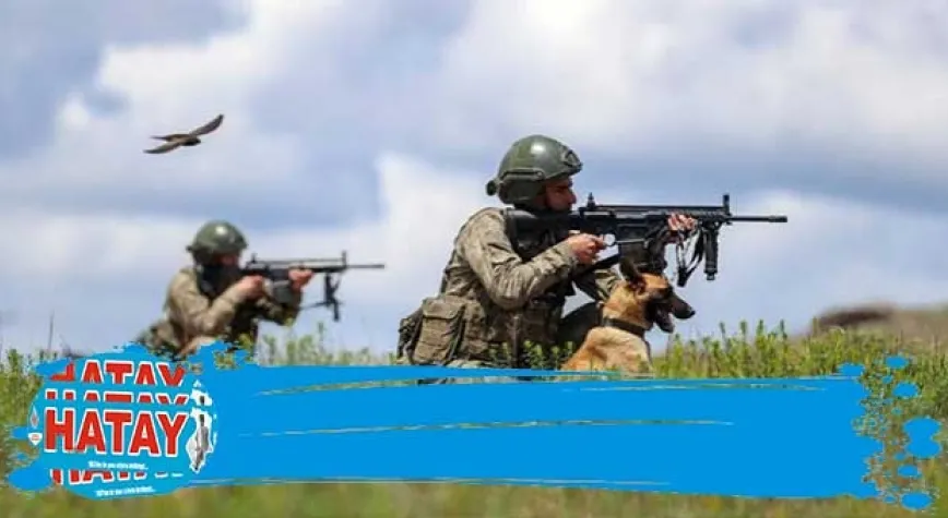 Terör örgütleri mensubu 2 kişi yakalandı