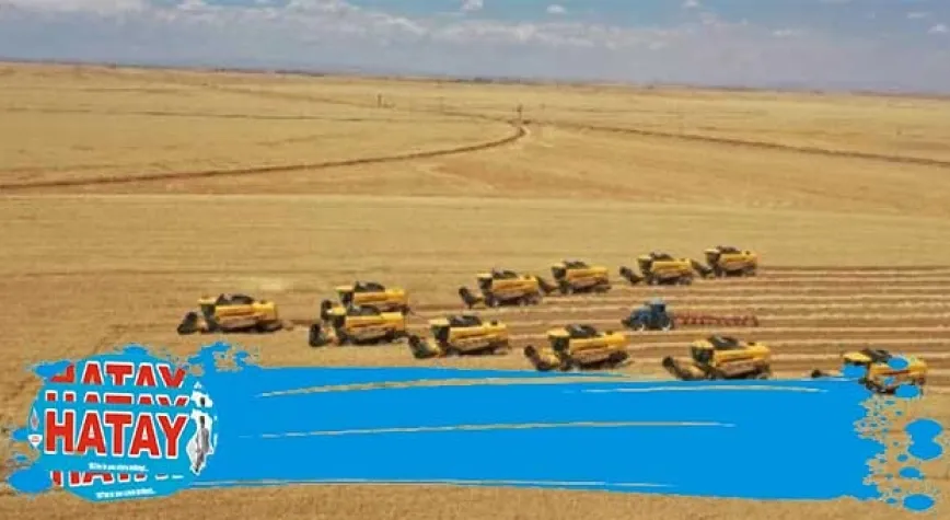 TİGEM REKORU 392 bin ton mahsul 