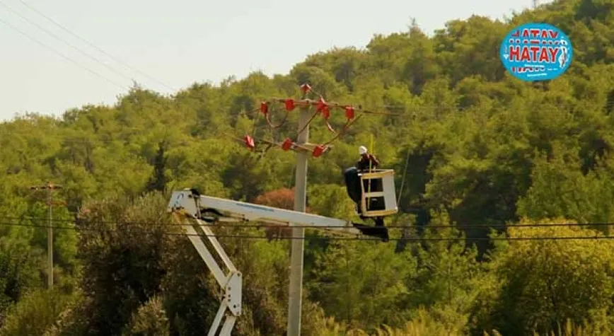 Toroslar EDAŞ göçmen kuşları yalıtımlı hatlarıyla koruyor