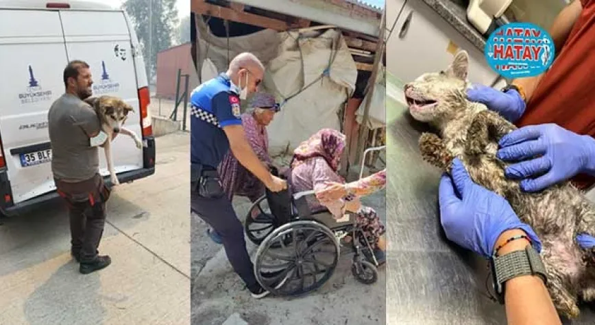 Tüm birimleri ile  yangında seferber oldu