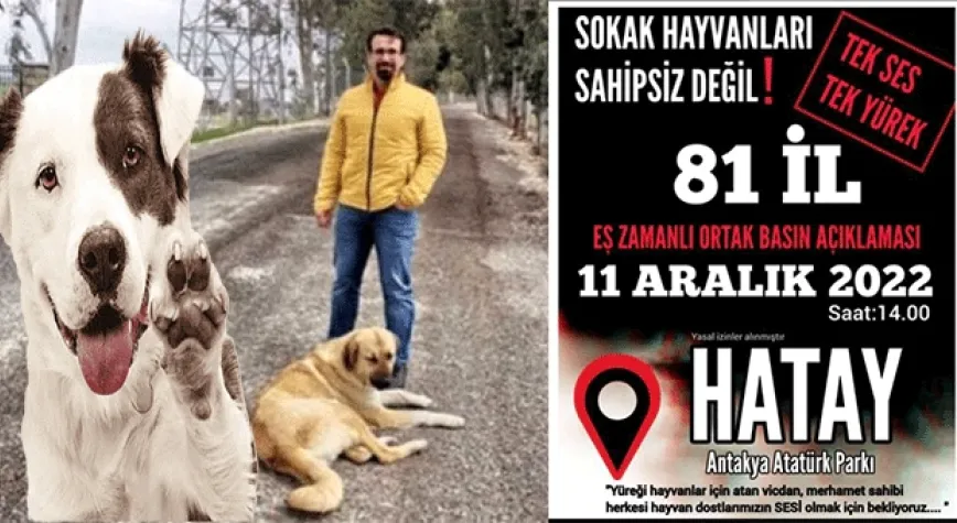 TÜM CANLARA YER VAR