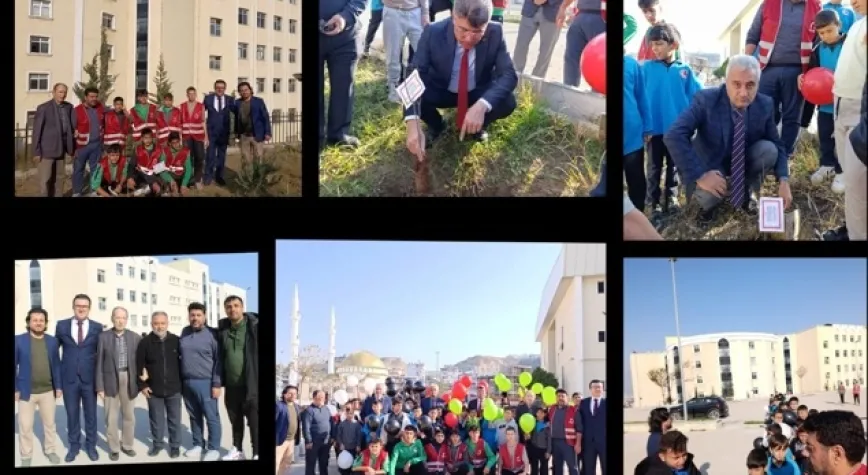 Türkiye yeşeriyor, Gazze güçleniyor